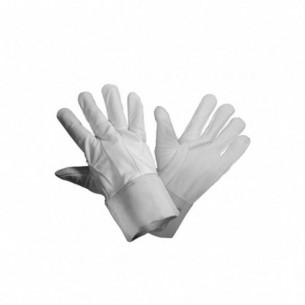 GUANTE DESCARNE CORTO... 2