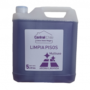 LIMPIADOR DESODORANTE...