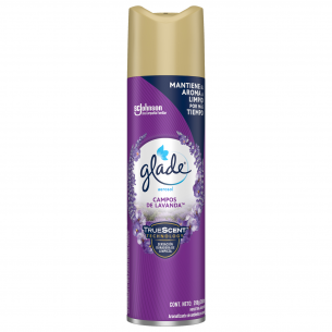 DESODORANTE AEROSOL GLADE...