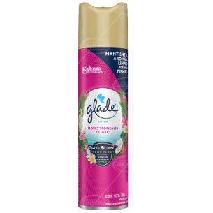 DESODORANTE AEROSOL GLADE...