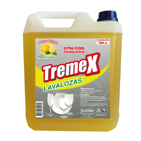 LAVALOZAS CONCENTRADO 5 LT. TREMEX