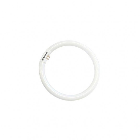 TUBO FL. CIRCULAR T5 20W 6400K (L.D) WESTINGHOUSE