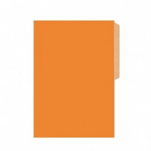 CARPETA CARTULINA COLOR GRIS