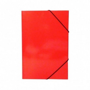 CARPETA CARTERA C ELASTICO...