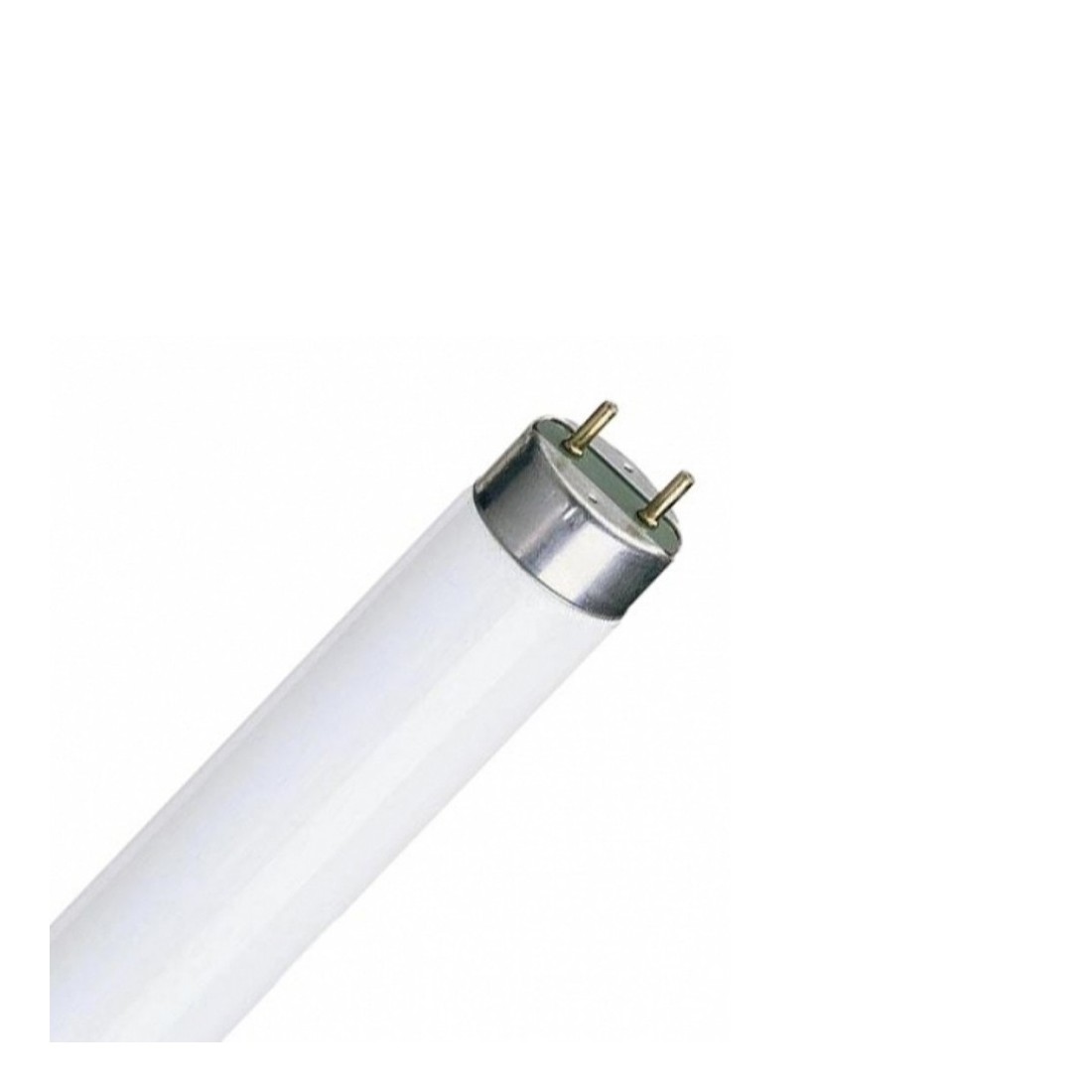 TUBO FL. LINEAL T8 36W 6500K (L.D) WESTINGHOUSE